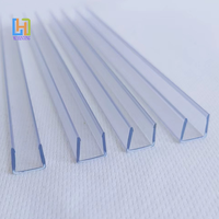 Bande de connexion en PVC pour mur-rideau en verre transparent personnalisé