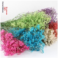 Bouquet de gypsophile de fleurs éternelles, vente en gros, fleurs séchées pour la décoration, cadeau de Noël, de Pâques, de la Saint-Valentin, scène