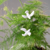 Mini colombe blanche résine Flatback oiseau de paix pour gâteau de mariage et artisanat décoration de noël et de la fête des pères pouces Mini colombes