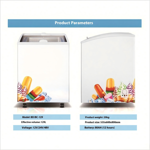 Congélateur à glace solaire 12/24V pour stand de rue, armoire réfrigérée avec porte coulissante pour voiture et usage domestique - Product Image 5