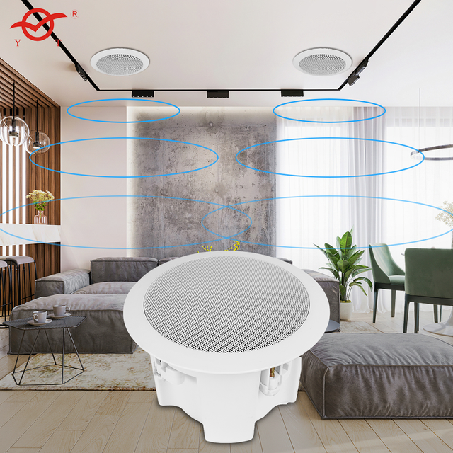 Ceiling Audio Home Living Room Hall Professional Speaker Background Music Surround Sound System