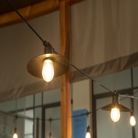 Wendadeco Plastique Cour Jardin Décoré Étanche IP44 Écologique LED Festoon Guirlande Lumineuse Extérieur Festival Lumières