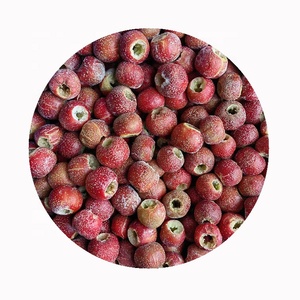Yeni dondurulmuş iş mağaza koşer toplu tarzı depolama ambalaj ambalaj <span class=keywords><strong>Fructus</strong></span> <span class=keywords><strong>crataegi</strong></span> meyve dondurulmuş alıç berry - Product Image 6