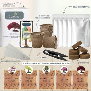 Mini 5 sẵn sàng để phát triển Bonsai Kit trồng trong nhà món quà ý tưởng với Red Maple Trung Quốc cercis juniperus liquidambar vân sam Đỏ - Product Image 4