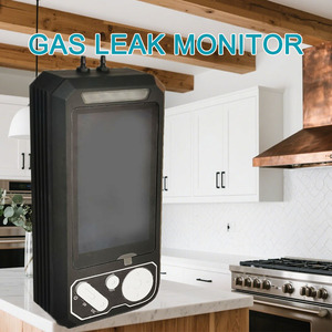 Globesoaring Yüksek Hassasiyetli Hava Kalitesi Monitörü Taşınabilir Çoklu Gaz Dedektörü Ses Işığı Titreşim Alarmı 1 Yıl Garanti - Product Image 5