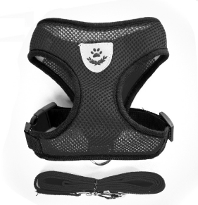 Arnés y Correa Transpirable de Malla para Mascotas, Arnés y Correa para Perros y Gatos - Product Image 6