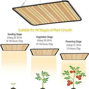 <span class=keywords><strong>Lampe</strong></span> de culture <span class=keywords><strong>LED</strong></span> à spectre complet pour <span class=keywords><strong>semis</strong></span> de fleurs et de plantes succulentes, panneau d'éclairage intérieur pour plantes, 256 <span class=keywords><strong>LED</strong></span>, lumière de croissance pour plantes - Product Image 3