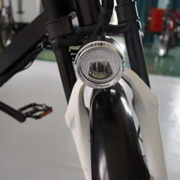 Vélo électrique 850w 1000w à trois roues, quad fermé, vélo cargo électrique à trois roues avec un coffre
