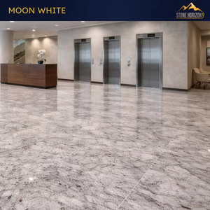 Losas de Granito Blanco Luna de 2 cm Pulido |   Granito Indio Gris Claro para Encimeras y Pisos |   Calidad de Exportación - Product Image 5