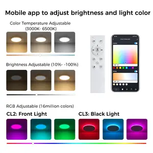 300mm LED Smart Ceiling Light 24W Back Light RGB Compatible With TUYA App Flush Mount Ceiling Fixture