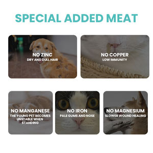 Suplementos personalizados para animais de estimação sem cocô para impedir que seu animal de estimação comer cocô Promovendo a saúde intestinal e a função digestiva - Product Image 5