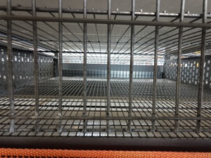 Jaula para Pollos <span class=keywords><strong>de</strong></span> <span class=keywords><strong>Engorde</strong></span> a Precio <span class=keywords><strong>de</strong></span> Fábrica, Jaula <span class=keywords><strong>de</strong></span> Alambre Soldado para Cría <span class=keywords><strong>de</strong></span> Codornices y Pollos, Venta Directa - Product Image 5