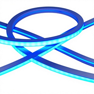 10x10m Addressable RGBW <b>LED</b> Neon Flex DC12V IP65 Waterproof Dimmable Business Advertising Decoration <b>Lighting</b> FCC Certified - Product Image 1