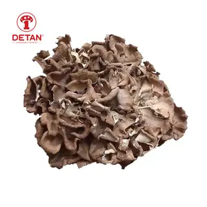 DETAN jamur organik Maitake curah kering untuk sup