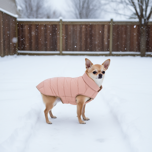 Manteau d'hiver Lesmont XXS 21 cm pour chien, veste chaude rembourrée couleur pêche - Product Image 3
