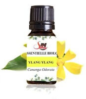 Huile essentielle de fleurs de basilic multi-usages |   Huile d'aromathérapie naturelle distillée à la vapeur, nourrissante, parfumée, pour shampoing et corps
