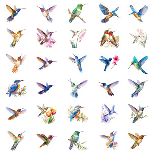 56 autocollants d'animaux sauvages et d'<span class=keywords><strong>oiseaux</strong></span> colibris en <span class=keywords><strong>aquarelle</strong></span> - Product Image 3