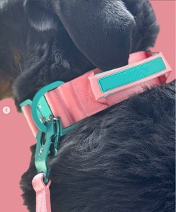 Collar de perro táctico de liberación rápida resistente de alta calidad con hebilla de Metal personalizado, Collar de perro táctico de nailon duradero - Product Image 6
