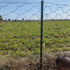 <span class=keywords><strong>Poteaux</strong></span> de clôture <span class=keywords><strong>en</strong></span> métal bon marché YC, personnalisables, <span class=keywords><strong>en</strong></span> forme de Y, poteau de clôture <span class=keywords><strong>en</strong></span> treillis métallique solide - Product Image 6