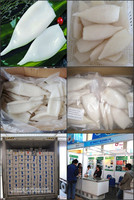 Tube de calmar frais congelé du Pérou / Tube de calmar Illex U3 U5 U7 U8 Vente en gros Exportation de Chine