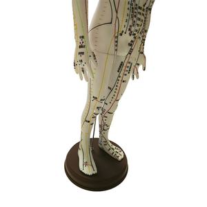 चीनी एक्यूपंक्चर प्रशिक्षण मॉडल सिलिकॉन एक्यूपंक्चर और मोक्सीबस्टन मॉडल - Product Image 5