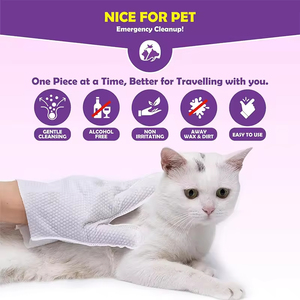 Benutzer definiertes Etikett 20 Count Ultra-Gentle Hypo allergenic Eco Friendly Organic Rinse Free Hunde und Katzen Haustier reinigung Feucht tücher Handschuhe - Product Image 3