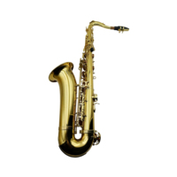 SEASOUND OEM High Quality Cheap Gold BB Tenor Saxophone Woodwind Instrument with Brass Body Adjustable Features JYTS103