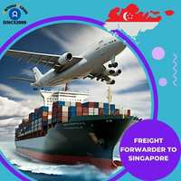 Service de Consolidation d'Échantillons FCL/LCL, Agent Maritime DDP via Chemin de Fer + Express, Chine Singapour, Transport Porte-à-Porte Honourocean