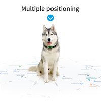 Traceur GPS 4G V43 pour animaux de compagnie avec clip, localisation en temps réel, IP67, 500 mAh, léger (35g), surveillance vocale et application