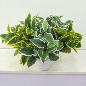 Plantes vertes artificielles Queyiyi, feuilles à bordure blanche de 30 cm à 100 cm, décoration intérieure, accessoires de photographie - Product Image 2
