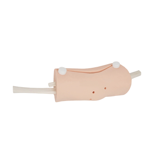 Model Sendi Lutut Manusia Model Artroskopik Lutut Model Injeksi Lutut - Product Image 2