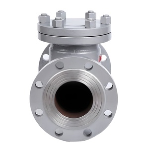 H44W-16C Liuhe Wcb Điều Khiển Bằng Tay Siêu Dài Bảo Hành Đúc Thép Đu Kiểm Tra Van Cho Nhà Bếp - Product Image 1