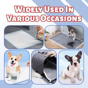 Tapis d'entraînement imperméables pour chiots et petits chiens – Couches absorbantes pour l'apprentissage du dressage canin - Product Image 6