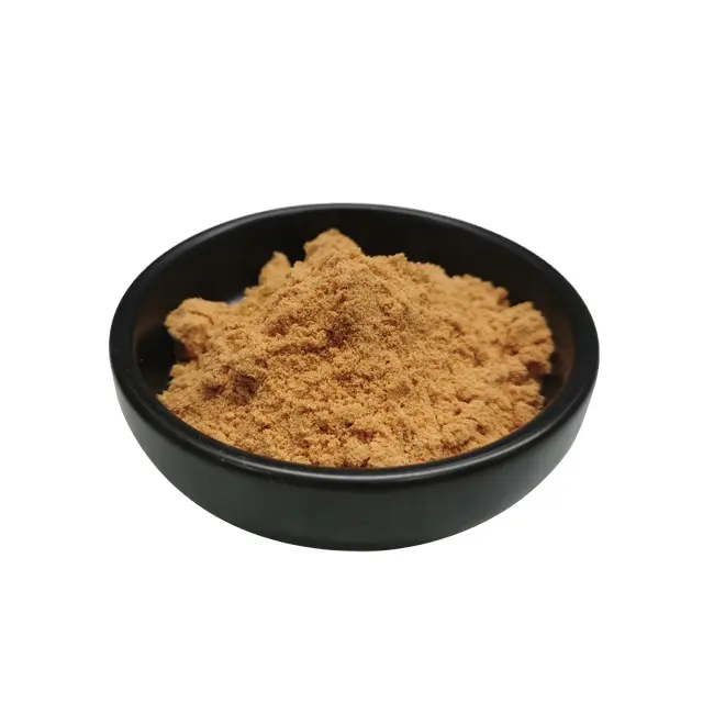 Good Water Solubility Wolfberry/Goji Berry Powder Fresh Wolfberry Extract Powder