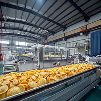 MINGFAN Volledig Automatische Aardappelchips Productielijn Machines met een capaciteit van 100-3000 kg/uur, aanpasbare spanning en afmetingen