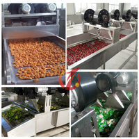 Gloednieuwe industriële luchtcompressor, commerciële luchtkoeler, voedseldroogmachine voor de verwerking van groenten en fruit.
