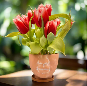 <span class=keywords><strong>Pot</strong></span> en <span class=keywords><strong>terre</strong></span> <span class=keywords><strong>cuite</strong></span> pieds tête jardinière 5 "<span class=keywords><strong>visage</strong></span> minimaliste, Art moderne nordique Artisanal Unique cadeau tête de fleur soucoupe incluse - Product Image 4