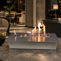 Petite cheminée à bioéthanol manuelle, mini brûleur pour cadeau, décoration de table à la maison