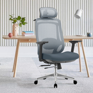 Silla de Oficina Ergonómica NOEL, Sillas de Oficina de Malla, Silla Completa con Certificación Biffma, OEM, Moderna, para Muebles de Oficina - Product Image 1
