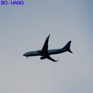 Agente de Carga Profesional Top 10 para Envíos Puerta a Puerta por Aire y Expreso con Soporte 24/7 a Destinos Mundiales - Product Image 2