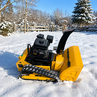 Souffleuse à neige à chenilles télécommandée DH Blizzard 60, 800 mm, 196 cm³, à essence, pour allée