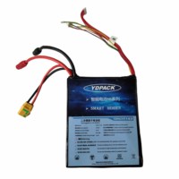 YDPACK SS142-1216 Высокая энергетическая плотность 320 Вт·ч/кг, 12S16Ач