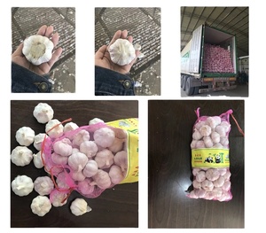 Sản phẩm mới cung cấp số lượng tốt nhất BRC chứng nhận iqf tép tỏi đông lạnh/tỏi đông lạnh - Product Image 6