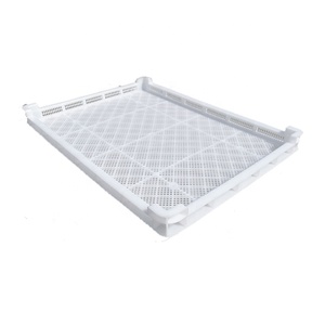 <span class=keywords><strong>Vassoi</strong></span> Impilabili <span class=keywords><strong>in</strong></span> <span class=keywords><strong>Plastica</strong></span> PP Perforata per Essiccazione Alimenti, Dimensioni 590x390mm, Fori 6mm, Giallo o Colore Personalizzato - Product Image 5