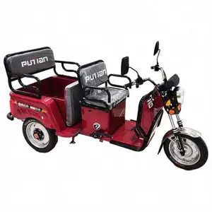 Commercial Customize 12V Electric Gasoline Cargo Tricycle For Sale With Manufacturers Custom-Made