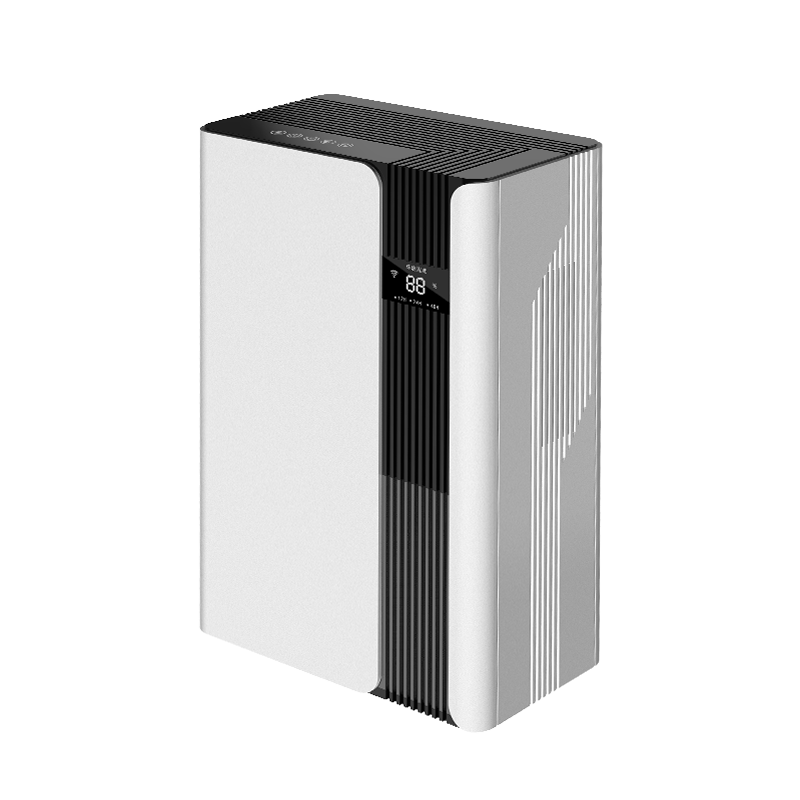 Dual Core Dehumidifier 1L 24H 2