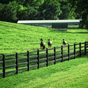 سياج من <span class=keywords><strong>3</strong></span> قضبان من الفينيل مقاوم للماء مقاوم للصدأ أسود عالي الجودة وغير مكلف للبادوك بولي كلوريد الفينيل - Product Image 5