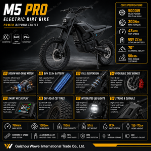Bicicleta de Acero de Alto Carbono 60V 27AH, Directo de Fábrica, 200Nm, Bicicleta para Adultos, OEM Personalizada, Vehículo de Dos Ruedas, Venta al Por Mayor - Product Image 3