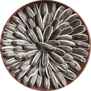 Semi di Melone Salati Tostati 363, Origine Shandong, Fornitura Diretta dalla Fabbrica, 158g/Sacchetto, Vendita all'Ingrosso - Product Image 1