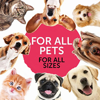 Prix de gros Suppléments naturels pour chiens Multivitamine liquide goutte chien chat vitamines pour chien intestin immunitaire santé articulaire